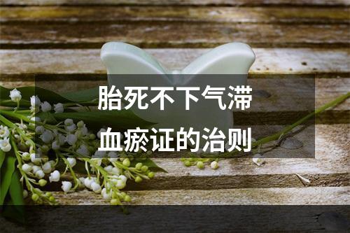 胎死不下气滞血瘀证的治则