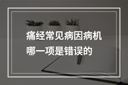 痛经常见病因病机哪一项是错误的