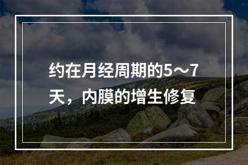 约在月经周期的5～7天，内膜的增生修复