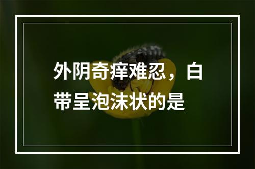 外阴奇痒难忍，白带呈泡沫状的是