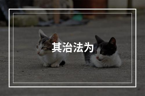 其治法为