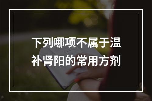 下列哪项不属于温补肾阳的常用方剂