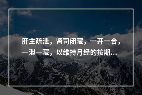 肝主疏泄，肾司闭藏，一开一合，一泄一藏，以维持月经的按期藏泻