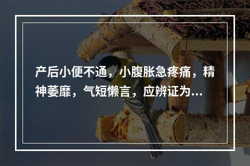 产后小便不通，小腹胀急疼痛，精神萎靡，气短懒言，应辨证为(