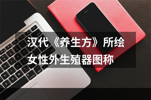 汉代《养生方》所绘女性外生殖器图称