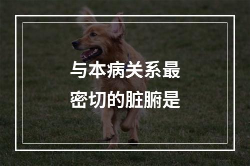 与本病关系最密切的脏腑是