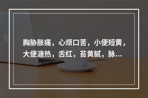 胸胁胀痛，心烦口苦，小便短黄，大便溏热，舌红，苔黄腻，脉滑数