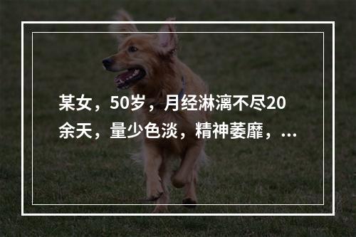 某女，50岁，月经淋漓不尽20余天，量少色淡，精神萎靡，小便