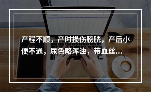 产程不顺，产时损伤膀胱，产后小便不通，尿色略浑浊，带血丝，小