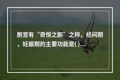 胞宫有“奇恒之腑”之称，经间期，妊娠期的主要功能是( )。