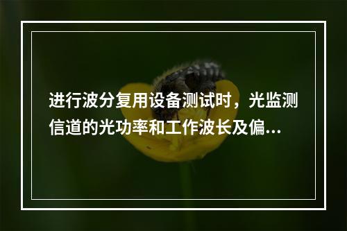 进行波分复用设备测试时，光监测信道的光功率和工作波长及偏差是