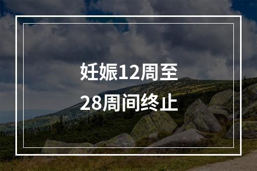 妊娠12周至28周间终止