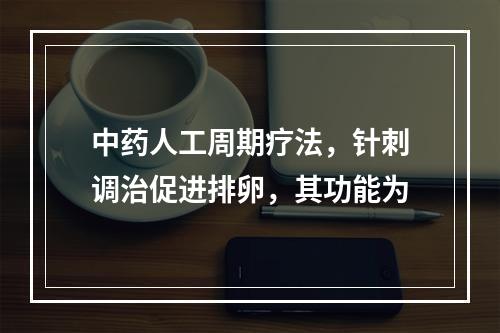 中药人工周期疗法，针刺调治促进排卵，其功能为