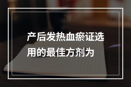 产后发热血瘀证选用的最佳方剂为