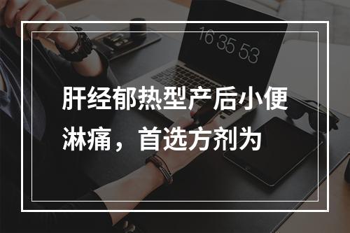 肝经郁热型产后小便淋痛，首选方剂为