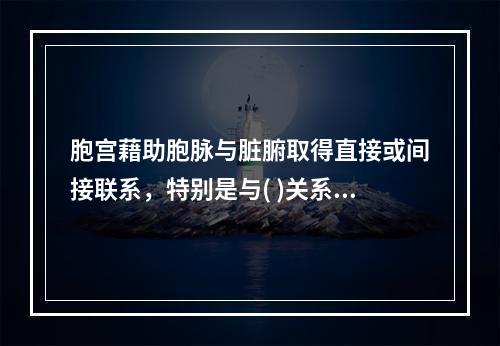 胞宫藉助胞脉与脏腑取得直接或间接联系，特别是与( )关系密切