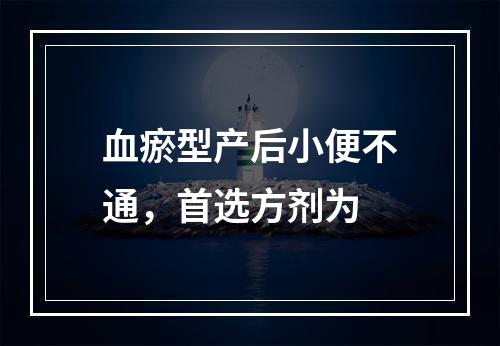 血瘀型产后小便不通，首选方剂为