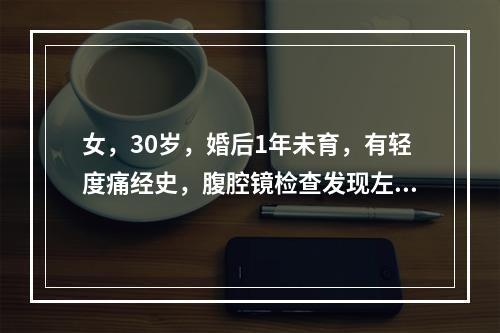 女，30岁，婚后1年未育，有轻度痛经史，腹腔镜检查发现左侧卵