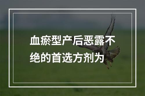 血瘀型产后恶露不绝的首选方剂为