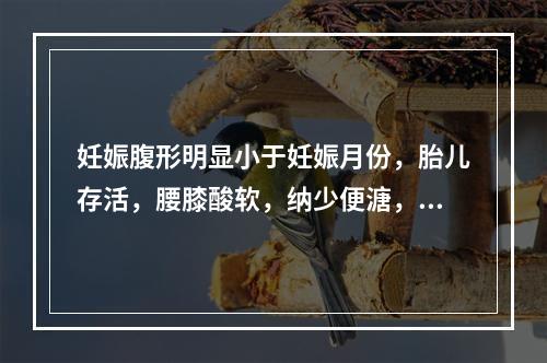 妊娠腹形明显小于妊娠月份，胎儿存活，腰膝酸软，纳少便溏，手足