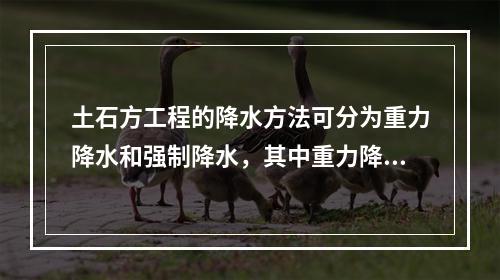 土石方工程的降水方法可分为重力降水和强制降水，其中重力降水的