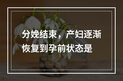 分娩结束，产妇逐渐恢复到孕前状态是