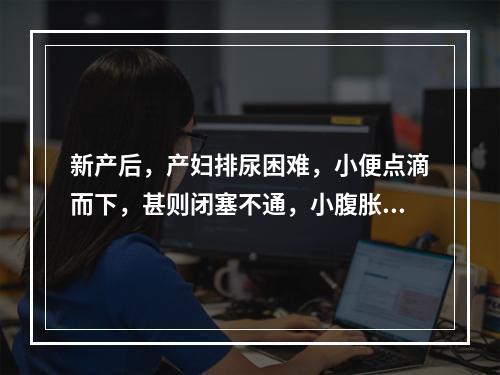 新产后，产妇排尿困难，小便点滴而下，甚则闭塞不通，小腹胀急疼