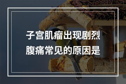 子宫肌瘤出现剧烈腹痛常见的原因是