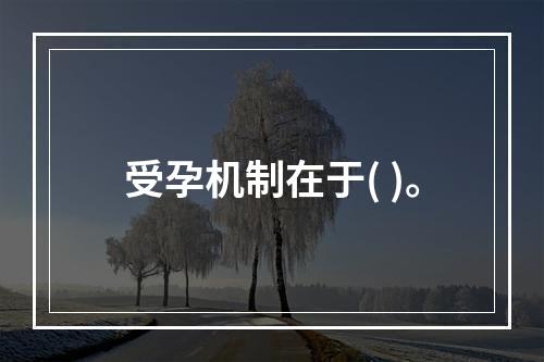 受孕机制在于( )。