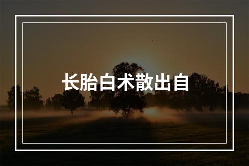 长胎白术散出自