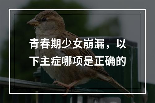 青春期少女崩漏，以下主症哪项是正确的