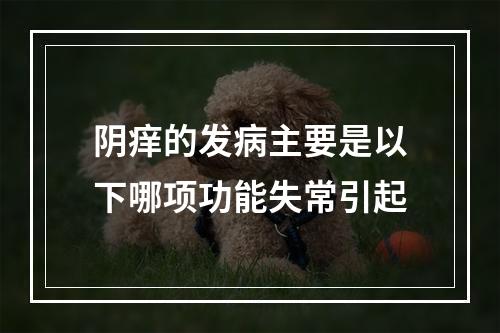 阴痒的发病主要是以下哪项功能失常引起