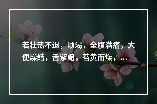 若壮热不退，烦渴，全腹满痛，大便燥结，舌紫黯，苔黄而燥，起芒