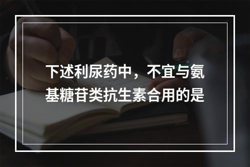 下述利尿药中，不宜与氨基糖苷类抗生素合用的是