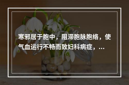 寒邪居于胞中，阻滞胞脉胞络，使气血运行不畅而致妇科病症，应治