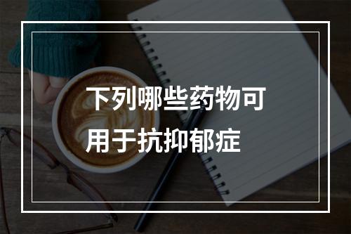 下列哪些药物可用于抗抑郁症