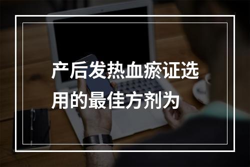 产后发热血瘀证选用的最佳方剂为