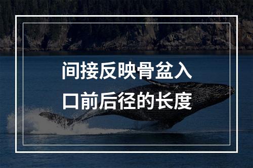 间接反映骨盆入口前后径的长度