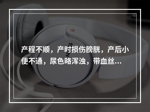 产程不顺，产时损伤膀胱，产后小便不通，尿色略浑浊，带血丝，小