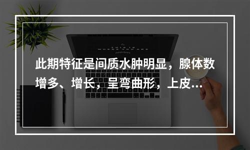 此期特征是间质水肿明显，腺体数增多、增长，呈弯曲形，上皮细胞