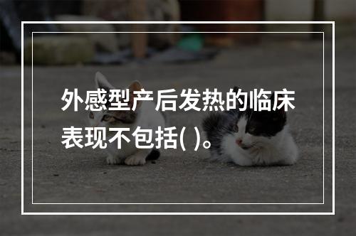 外感型产后发热的临床表现不包括( )。