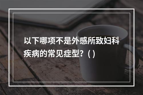 以下哪项不是外感所致妇科疾病的常见症型？( )