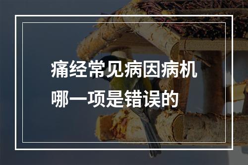 痛经常见病因病机哪一项是错误的