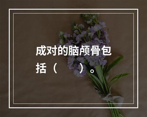 成对的脑颅骨包括（　　）。