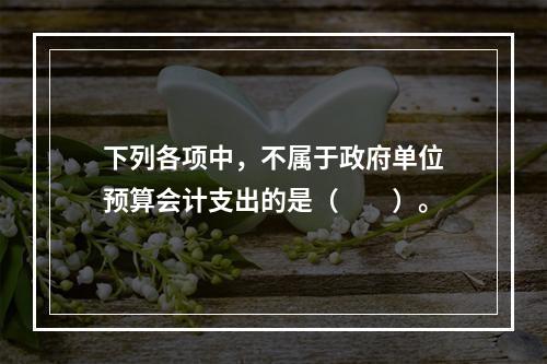 下列各项中，不属于政府单位预算会计支出的是（　　）。