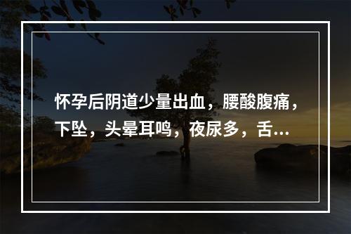 怀孕后阴道少量出血，腰酸腹痛，下坠，头晕耳鸣，夜尿多，舌淡暗