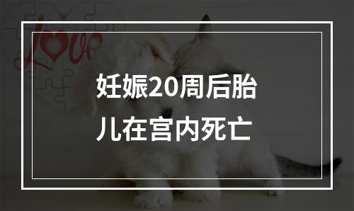 妊娠20周后胎儿在宫内死亡