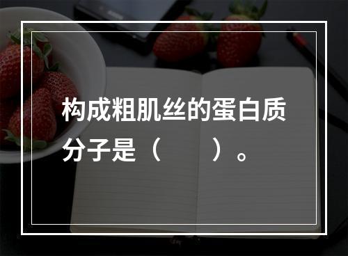 构成粗肌丝的蛋白质分子是（　　）。