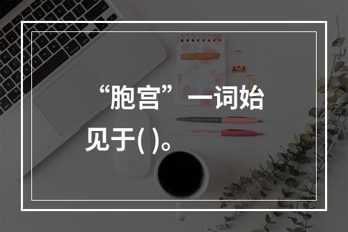 “胞宫”一词始见于( )。