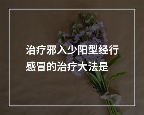 治疗邪入少阳型经行感冒的治疗大法是